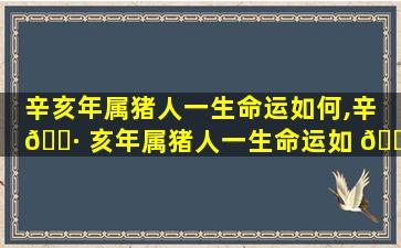 辛亥年属猪人一生命运如何,辛 🌷 亥年属猪人一生命运如 🐠 何呢